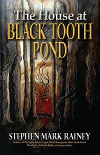 Produktbild: The House at Black Tooth Pond
