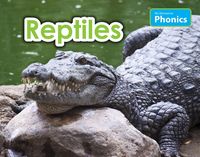 Produktbild: Reptiles