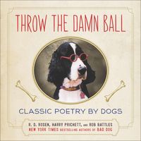Produktbild: Throw The Damn Ball