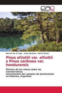 Produktbild: Pinus elliottii var. elliottii x Pinus caribaea var. hondurensis