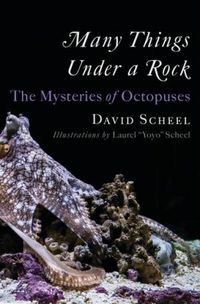 Produktbild: Many Things Under a Rock