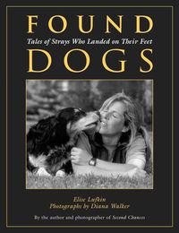 Produktbild: Found Dogs
