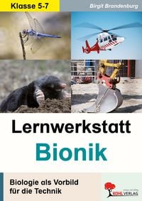 Produktbild: Lernwerkstatt Bionik