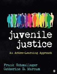 Produktbild: Juvenile Justice: An Active-Learning Approach