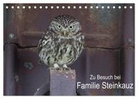 Produktbild: Zu Besuch bei Familie Steinkauz (Tischkalender 2026 DIN A5 quer), CALVENDO Monatskalender