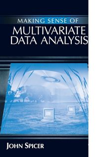 Produktbild: Making Sense of Multivariate Data Analysis