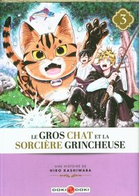 Produktbild: Le gros chat et la sorci&egrave;re grincheuse. Tome 3