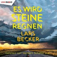 Produktbild: Es wird Steine regnen
