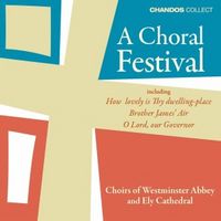 Produktbild: Farrell, T: Choral Festival