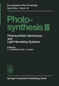 Produktbild: Photosynthesis III