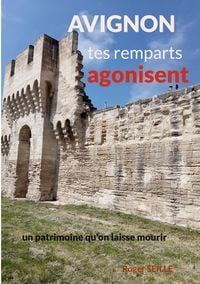 Produktbild: Avignon, tes remparts agonisent