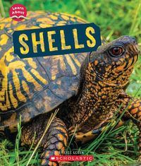 Produktbild: Shells (Learn About: Animal Coverings)