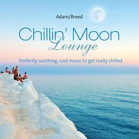 Bild vom Artikel Chillin ´Moon Lounge vom Autor 