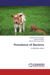 Produktbild: Prevalence of Bacteria