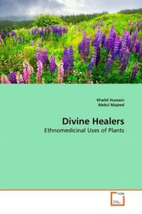 Produktbild: Hussain, K: Divine Healers