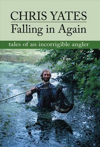 Produktbild: Falling in Again