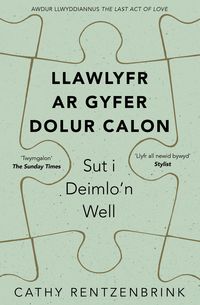 Produktbild: Llawlyfr ar gyfer Dolur Calon