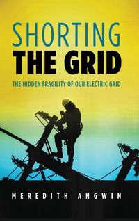 Produktbild: Shorting the Grid