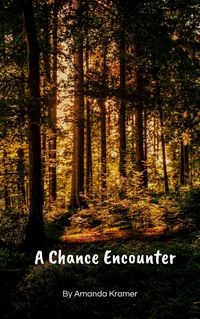 Produktbild: A Chance Encounter