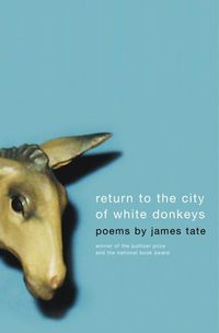 Produktbild: Return to the City of White Donkeys: Poems