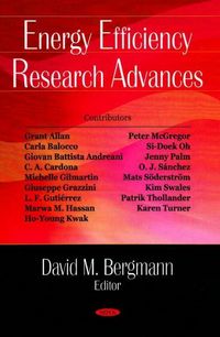 Produktbild: Energy Efficiency Research Advances