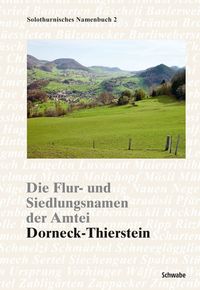 Produktbild: Die Flur- und Siedlungsnamen der Amtei Dorneck-Thierstein
