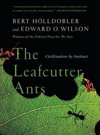 Produktbild: The Leafcutter Ants