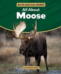 Produktbild: All about Moose