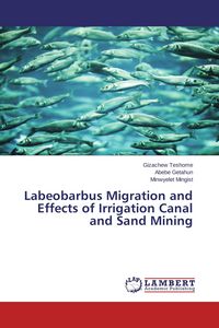 Produktbild: Labeobarbus Migration and Effects of Irrigation Canal and Sand Mining