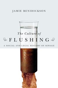 Produktbild: Benidickson, J: The Culture of Flushing