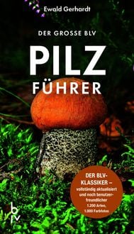 Produktbild Der große BLV Pilzführer