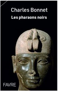 Produktbild: Les pharaons noirs : une histoire de la Nubie