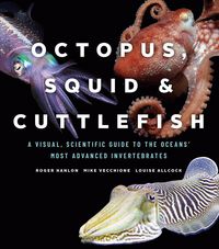 Produktbild: Hanlon, R: Octopus, Squid, and Cuttlefish
