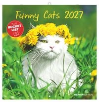 Produktbild: Funny Cats 2027
