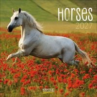 Produktbild: Horses 2027