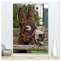 Produktbild: Esel und Mulis (hochwertiger Premium Wandkalender 2026 DIN A2 hoch), Kunstdruck in Hochglanz