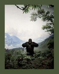 Produktbild: Zoology. Benvenuti nel regno animale