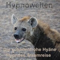 Produktbild: Die schadenfrohe Hy&auml;ne