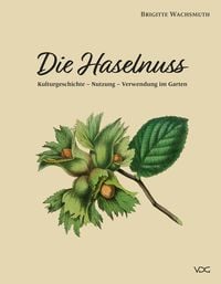 Produktbild: Die Haselnuss