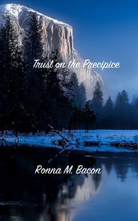 Produktbild: Trust on the Precipice