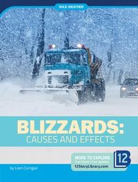 Produktbild: Blizzards: Causes and Effects