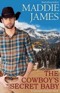 Produktbild: The Cowboy's Secret Baby