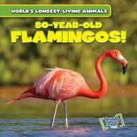 Produktbild: 80-Year-Old Flamingos