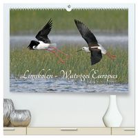 Produktbild: Limikolen - Watv&ouml;gel Europas (hochwertiger Premium Wandkalender 2026 DIN A2 quer), Kunstdruck in Hochglanz