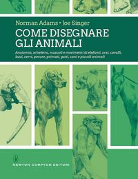 Produktbild: Come disegnare gli animali