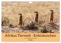 Produktbild: Afrikas Tierwelt - Erdm&auml;nnchen (Wandkalender 2026 DIN A4 quer), CALVENDO Monatskalender