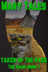 Produktbild: Taken Up The Pass: Multiple Partner Erotica (The Gang, #1)