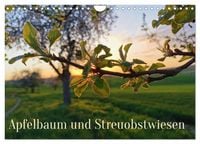 Produktbild: Apfelbaum und Streuobstwiesen (Wandkalender 2027 DIN A4 quer), CALVENDO Monatskalender