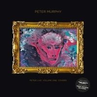 Produktbild: Peter Live Volume 1 Covers