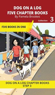 Produktbild: Five Chapter Books 3